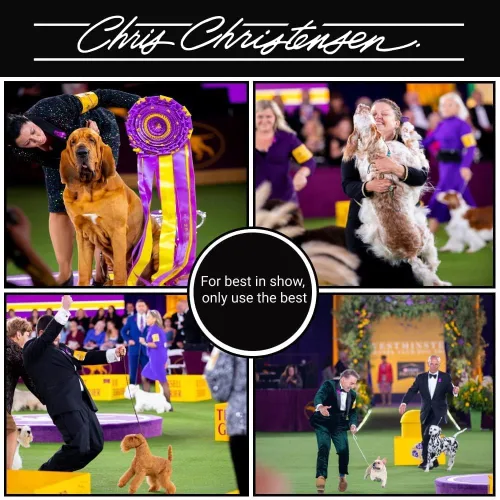 Vista 5 de Chris Christensen Cepillo ovalado de 0.787 in para perro, serie Fusion, acicalar como un profesional, pasadores de latón, 100% libre de estática