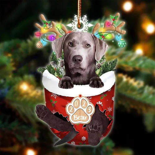 Vista 104 de NAZENTI Adorno Navideño de Bolsillo Personalizado de Affenpinscher en la Nieve, Adorno de Forma Acrílica de Perro, Adorno de Navidad 2023, Adorno