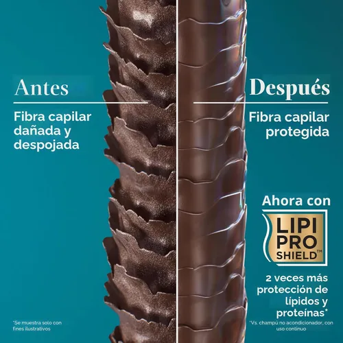 Vista 5 de OGX Acondicionador Voluminizador Espeso y Abundante + Biotina y Colágeno, Acondicionador Enriquecido con Nutrientes con Biotina Vitamina B7 que