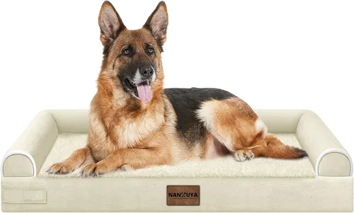 Vista 99 de NANUYA - Cama ortopédica para perros de tamaño mediano/grande, lavable: Camas con almohada para perros de tamaño mediano/grande, sofá de espuma