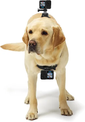Vista 3 de Arnés para perros GoPro Fetch - Montura oficial GoPro (Paquete de 6)
