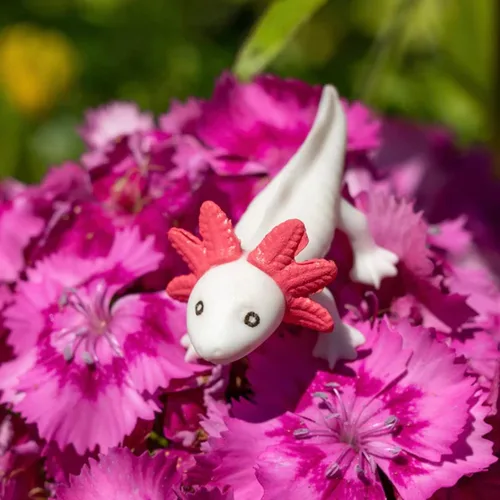 Vista 3 de Accoutrements Archie McPhee Itty Bitty Axolotls 8 Pack
