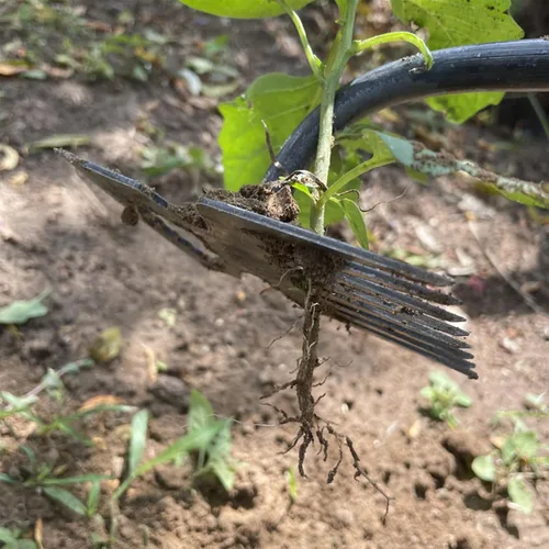 Vista 7 de Nueva herramienta de deshierbe de artefactos de desarraigo, herramienta de jardinería de doble propósito, herramienta de jardín de azada, extractor