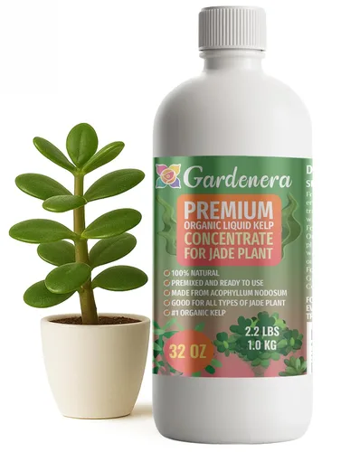 Vista 30 de GARDENERA Superalimento orgánico prémium de algas marinas y algas marinas para plantas AROID - 32 oz - Concentrado de fertilizante líquido de algas
