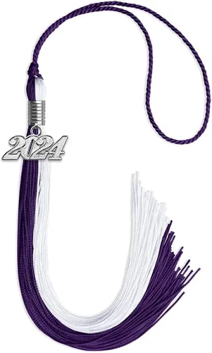 Vista 74 de Endea Graduation Borla de doble color con gota de fecha plateada (negro/oro antiguo, 2025)
