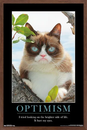 Vista 18 de Trends International Grumpy Cat - El Lado Más Brillante Póster de Pared, 14.725 x 22.375 pulgadas, Versión Enmarcada de Madera de Granero