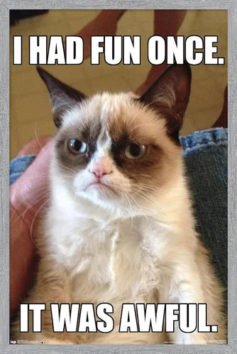 Vista 15 de Trends International Grumpy Cat - Póster de pared divertido, 22.375 x 34 pulgadas, versión enmarcada plateada Versión con marco plateado