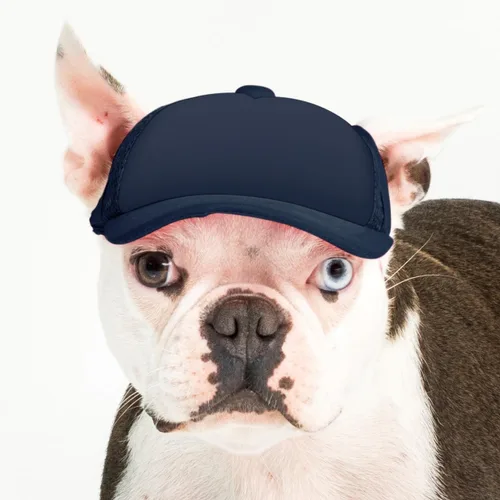 Vista 24 de DIY PupLid Trucker Hats (negro/blanco, XXS) - Sombrero de perro personalizable, lona en blanco para diseño personalizado, ajustable, protección