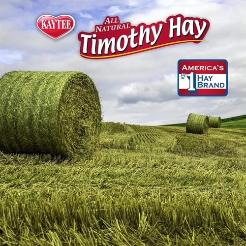 Vista 7 de Alimento para mascotas con zanahoria de heno de Fleo de Kaytee, Verdes