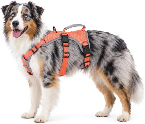 Vista 19 de Huntboo - Arnés para perro a prueba de escape, arnés reflectante con asa, duradero, chaleco ajustable para perros pequeños, medianos y grandes