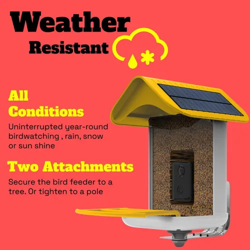 Vista 2 de Fácil configuración rápida, comedero inteligente para pájaros con cámara - Paneles solares duales, video inalámbrico al aire libre de alta