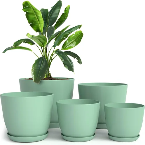Vista 12 de Utopia Home - Macetas de Interior con Drenaje - Macetas de Flores de 7/6.6/6/5.3/4.8 Pulgadas para Plantas de Interior - Juego de 5 Macetas