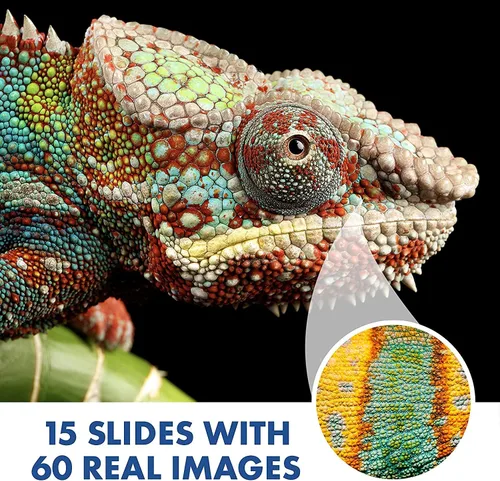 Vista 7 de Educational Insights GeoSafari Jr. Kidscope, Microscopio para niños, juguete STEM, relleno para cesta de Pascua para niños, regalo para niños