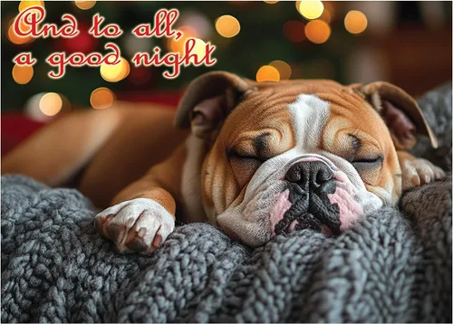 Vista 26 de Glory To Dog And To All A Good Night Sleepy Beagle Puppy - Juego de 12 tarjetas y sobres de Navidad
