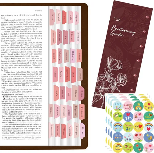 Vista 8 de 105 PIEZAS Etiqueta de Calendario Mensual Laminada - 48 Meses, 22 Temas, 35 en Blanco, 80 Pegatinas de Planificación con Guía de Alineación