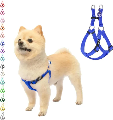 Vista 14 de Pupteck - Arnés para perros sin jalar, suave, ajustable, de nailon, talla básica, chaleco para cachorro, para caminar al aire libre con etiqueta