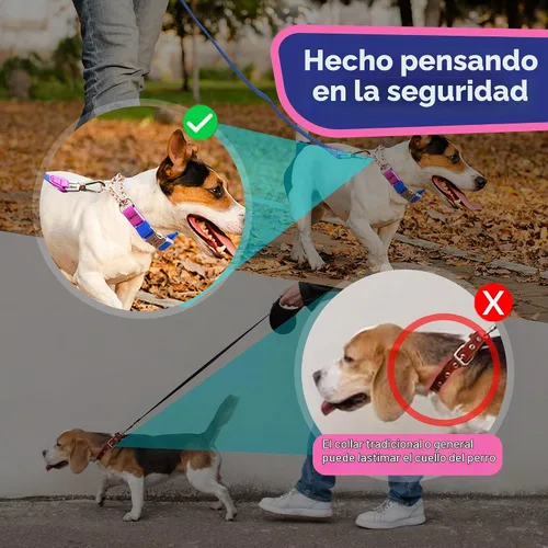 Vista 5 de Jelly - Collar para perro martingala impermeable, collar de nailon sin tirones con hebilla de metal de aleación y anillo en D para entrenamiento