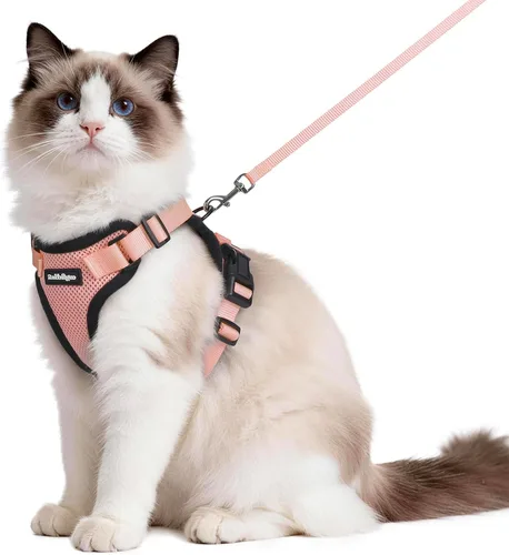 Vista 51 de rabbitgoo Cat Harness and Leash Set, Escape Proof Vest, XXS, Berry Pounce Soft Breathable Mesh, No-choke Adjustable Fit, Snap Buckles, Sturdy
