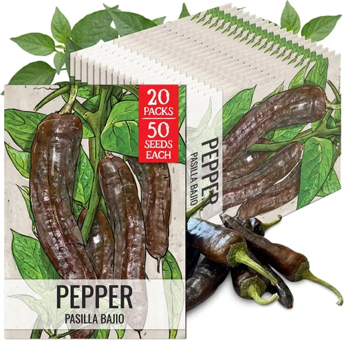 Vista 52 de Seed Needs - Semillas de pimiento arcoíris para plantar verduras, 1 paquete