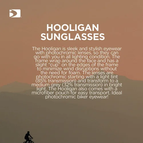 Vista 8 de Bobster Hooligan anteojos de sol fotocromáticos, color negro, talla única