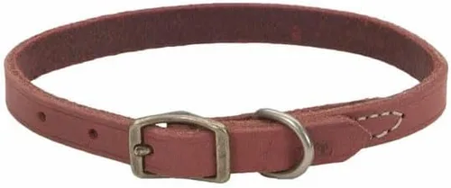 Vista 8 de Coastal Pet - Circle T - Collar de piel rústica para perro, rojo ladrillo, 1 x 20 pulgadas