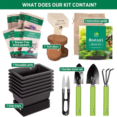 Vista 3 de Kit de iniciación de bonsái REALPETALED – Kit de árbol bonsái japonés 7 semillas macetas – Cultiva tu propio completo – Regalos para amantes
