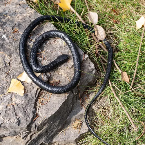 Vista 3 de Brandon-super Juguete realista de goma negra serpiente de 52 pulgadas de largo (paquete de 2)