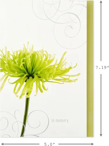 Vista 2 de Hallmark - Tarjetas de condolencia surtidas (flores, 12 tarjetas y sobres)