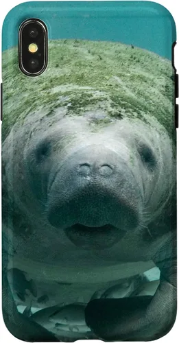 Vista 5 de Manatee Case for iPhone 17