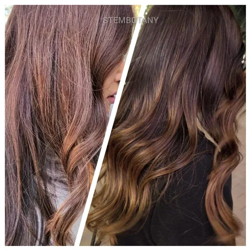 Vista 2 de Champú de células madre para cabello fino y de aspecto adelgazante, fórmula natural súper brillante, segura para el color, con cafeína, péptidos