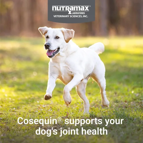 Vista 4 de Cápsulas Nutramax para perros, para las articulaciones.