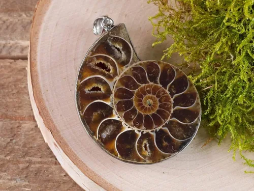 Vista 6 de Gemhub SK-002 - Collar con colgante de caracol de piedra natural de amonita fósil de caracol de plata de ley 925 para mujeres y hombres
