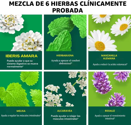 Vista 4 de Iberogast Cápsulas blandas, alivio herbario de los trastornos estomacales: indigestión ocasional, hinchazón, gases, náuseas, malestar estomacal