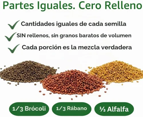 Vista 3 de Todd's Seeds Mezcla de semillas para germinar; Brócoli, rábano, alfalfa, sin OMG, libres de químicos, alta germinación (1/4 libra)