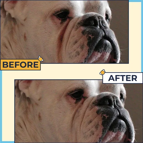 Vista 2 de Pasta para Bulldogs antiarrugas de 2 onzas + 50 toallitas antiarrugas Bulldog francés (paquete de 2) Crema antiarrugas para perros, Frenchie
