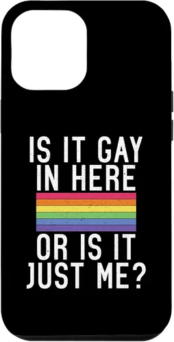 Vista 6 de iPhone 15 ¿Es gay aquí o es solo yo Bisexual Gay Pride Case