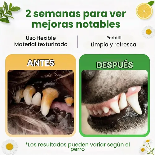 Vista 3 de Kit de cepillado de dientes para mascotas, 60 toallitas