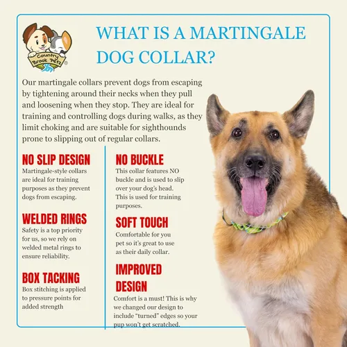 Vista 7 de Country Brook Petz - Collar de perro Martingala a cuadros de búfalo (1 1/2 pulgadas, mediano)