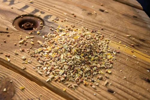 Vista 2 de New Country Organics Alimento para pollo Alimento para arañazos para aves de corral adultas Sin soja 9% de proteína Certificado orgánico