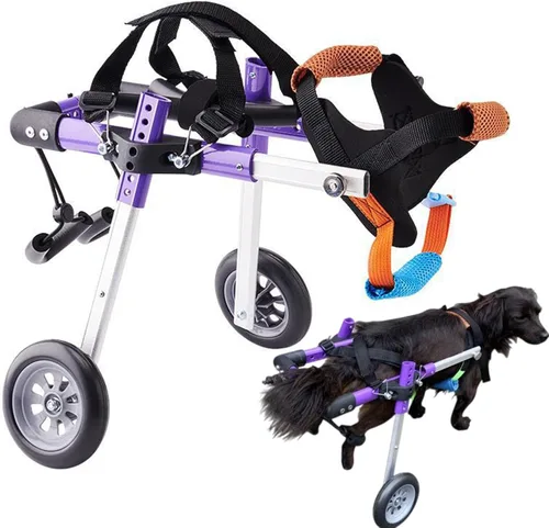 Vista 8 de Silla de ruedas para perro de 2 ruedas, silla de ruedas ajustable para patas traseras, carritos para perros pequeños y medianos para discapacitados