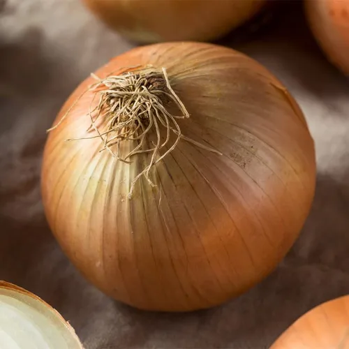 Vista 3 de Onion-Texas Early Grano 502 (250 Seeds)
