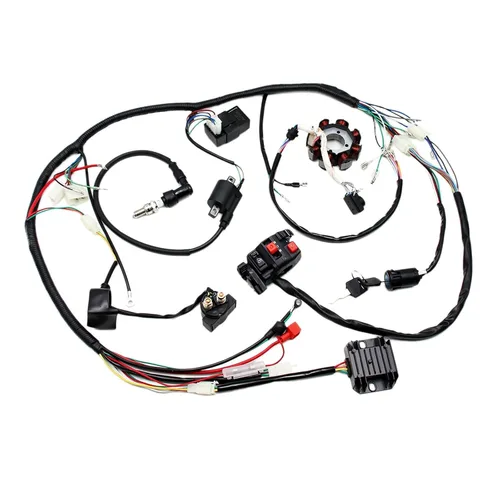 Vista 3 de PRO BAT Arnés de cableado eléctrico completo Cable CDI Bobina Conjunto de estator de 8 polos para vehículos de 4 ruedas Stroke ATV Quad Pit Dirt