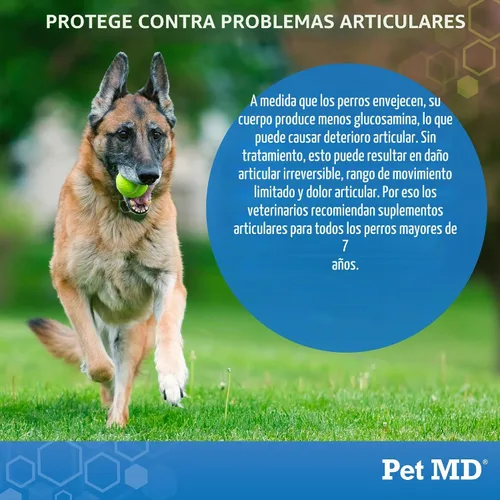 Vista 2 de Pet MD Glucosamina condroitina para perros - con MSM y cúrcuma - 120ct