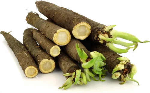 Vista 2 de Semillas Vegetal Salsify Raíz Negra - 100 Semillas