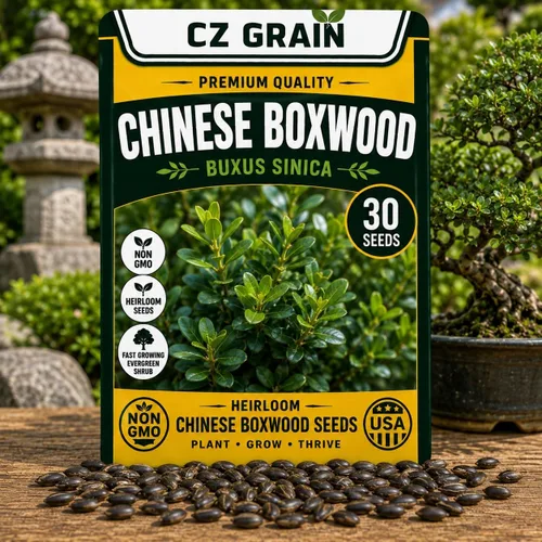 Vista 69 de CZ Grain Semillas para plantar, 40 pequeñas mezclas de calabaza