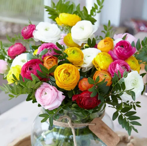 Vista 5 de 10 Uds. Color mixto Ranunculus bulbo doble ranúnculo rosa boda flor bulbo