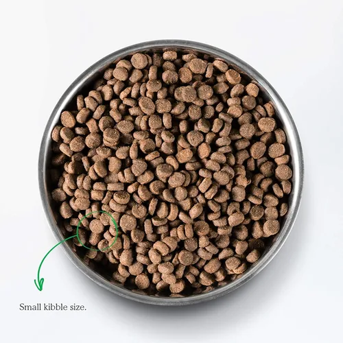 Vista 4 de Open Farm - Alimento seco para gatos sin granos de cordero criado en pasto, receta de cordero criado humanamente con superalimentos sin OMG y sin