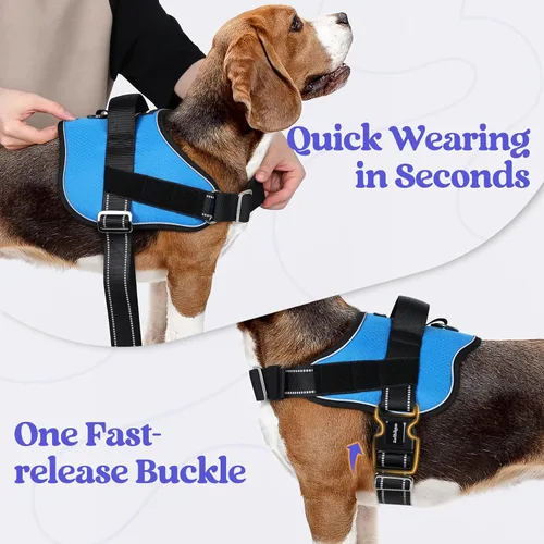 Vista 2 de rabbitgoo Arnés para perro pequeño, chaleco fácil de poner para mascotas con una hebilla, arnés de servicio ajustable sin tirones con anillo en D