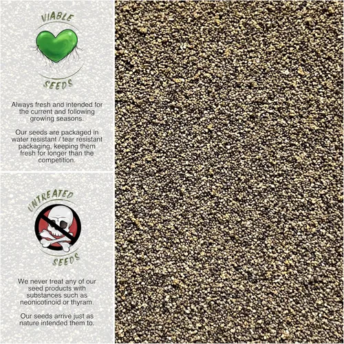 Vista 3 de Seed Needs, Shirley Poppy Blend - 30,000 semillas tradicionales para plantar papaver rhoeas (paquete de 1)