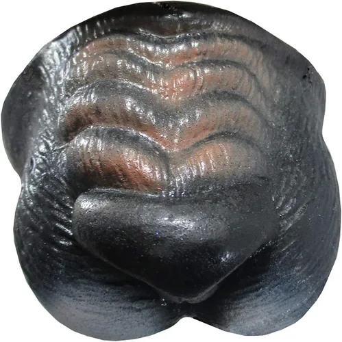 Vista 5 de Big Bad Wolf Ears Tail - Juego de mini máscara de nariz, color gris, talla única, GrisMarrón